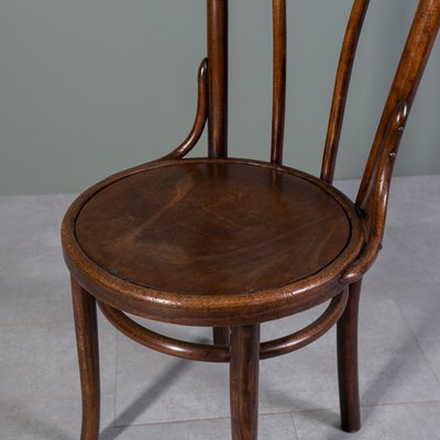 Chairs in Bent and Beech Wood by Michael Thonet, Set of 3-WZF-2028427