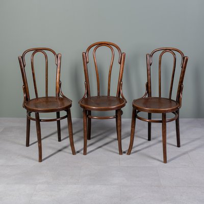 Chairs in Bent and Beech Wood by Michael Thonet, Set of 3-WZF-2028427