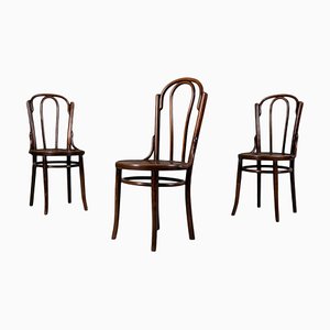 Chairs in Bent and Beech Wood by Michael Thonet, Set of 3-WZF-2028427