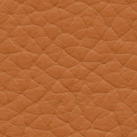 Chesapeake Bay (AU618)