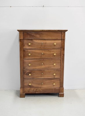 Chest of drawers, 19th Century-RVK-861422