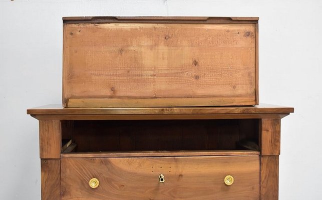 Chest of drawers, 19th Century-RVK-861422