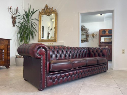 Chesterfield Club Sofa in Oxblood Red