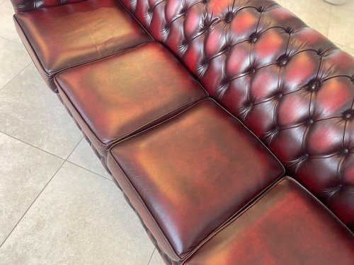 Chesterfield Club Sofa in Oxblood Red