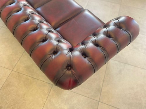 Chesterfield Club Sofa in Oxblood Red