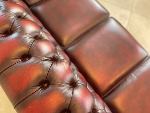 Chesterfield Club Sofa in Oxblood Red