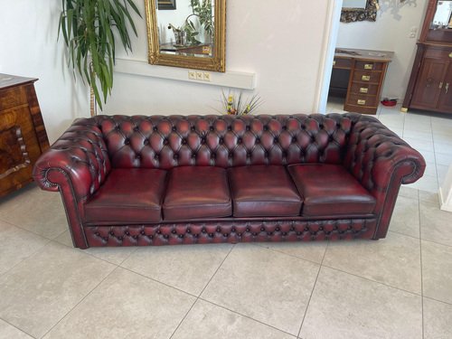 Chesterfield Club Sofa in Oxblood Red