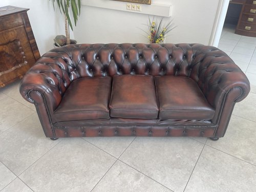 Chesterfield Club Sofa in Oxblood Red