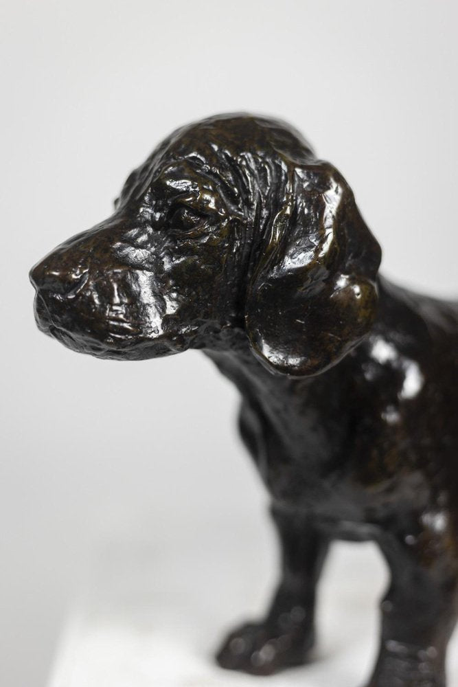 Chien Basset Toc in Bronze by François Pompon, 2006