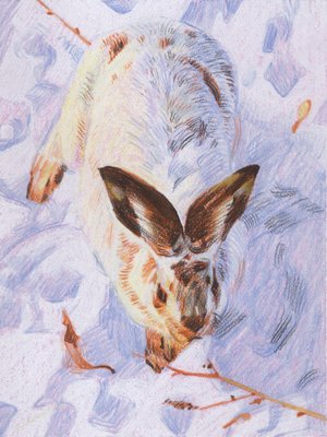 Christian Frederiksen, Wintery Hare, 2023, Chalk Pastel on Illustration Board-CHG-2037496