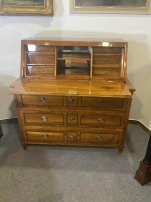 Classicist Secretary in Cherrywood, 1810s-NYZ-1820956