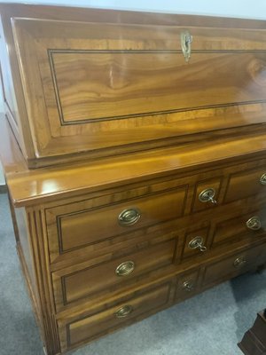 Classicist Secretary in Cherrywood, 1810s-NYZ-1820956