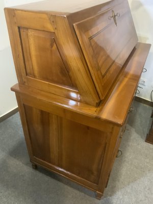 Classicist Secretary in Cherrywood, 1810s-NYZ-1820956