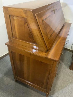 Classicist Secretary in Cherrywood, 1810s-NYZ-1820956