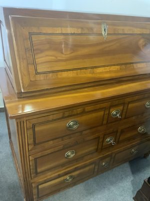 Classicist Secretary in Cherrywood, 1810s-NYZ-1820956