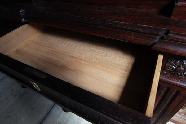 Classicist Top Cabinet in Rosewood, 19th Century-TAT-998569