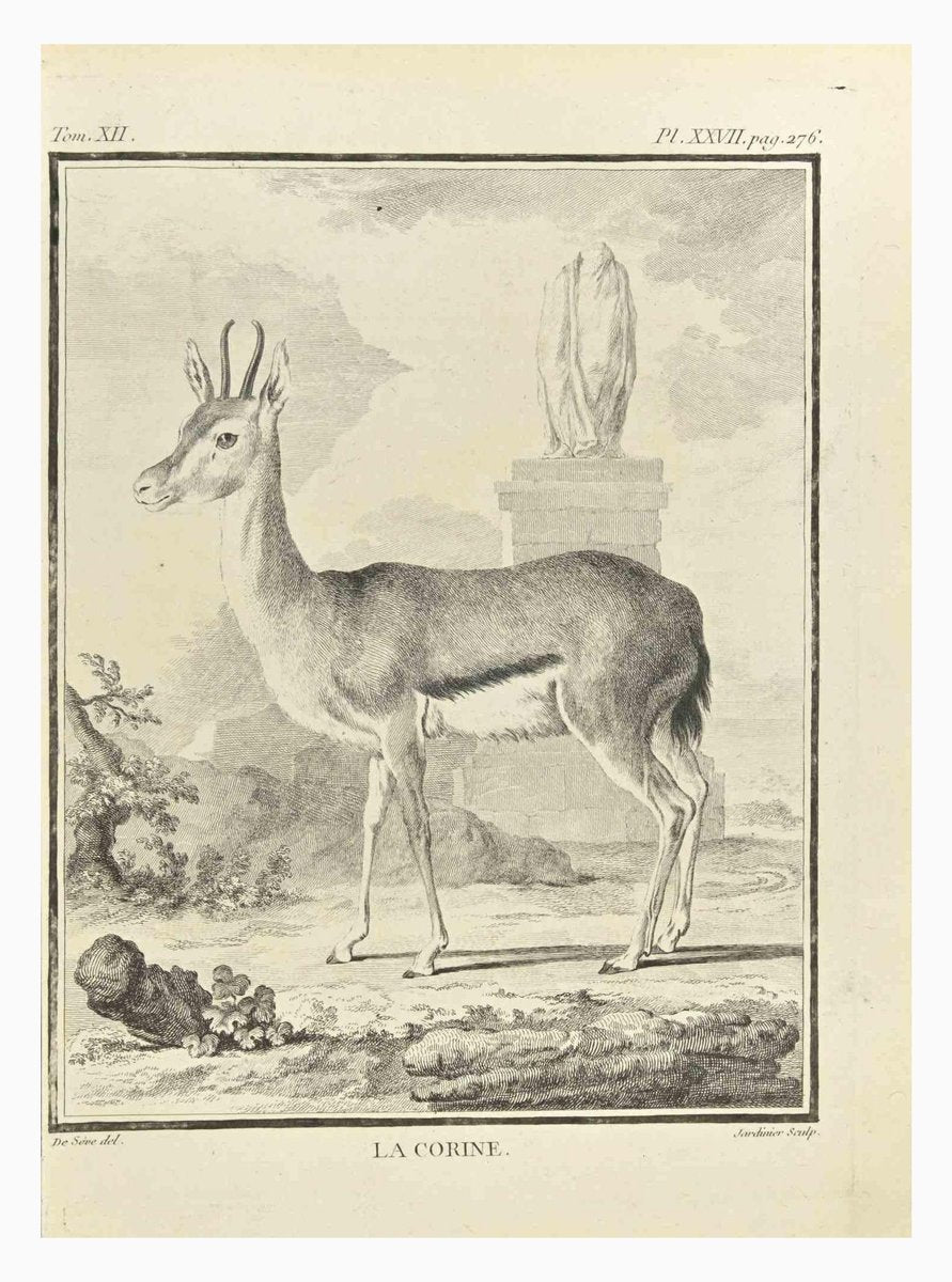 Claude Jardinier, La Corine, Etching, 1771