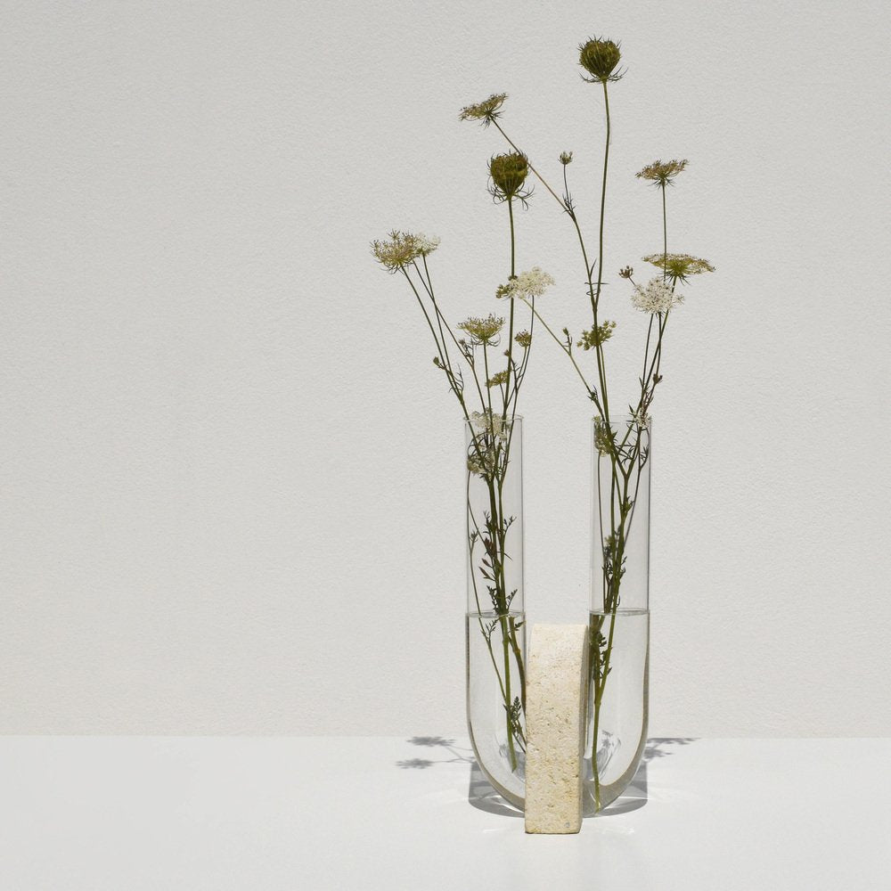 Clear Cochlea Vase by Coki Barbieri