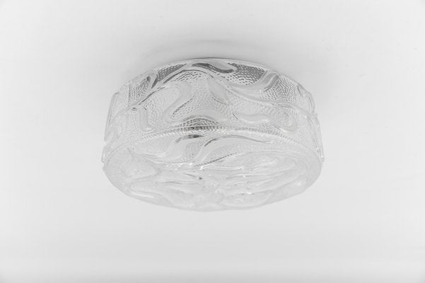 Clear Glass Botanical Flush Mount Light, 1960s-KQB-1813567