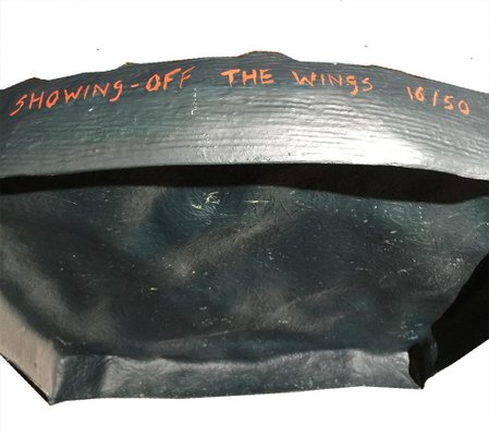 Clemens Briels, Showing Off the Wings, 2000, Acrylic on Resin-UCH-1224622