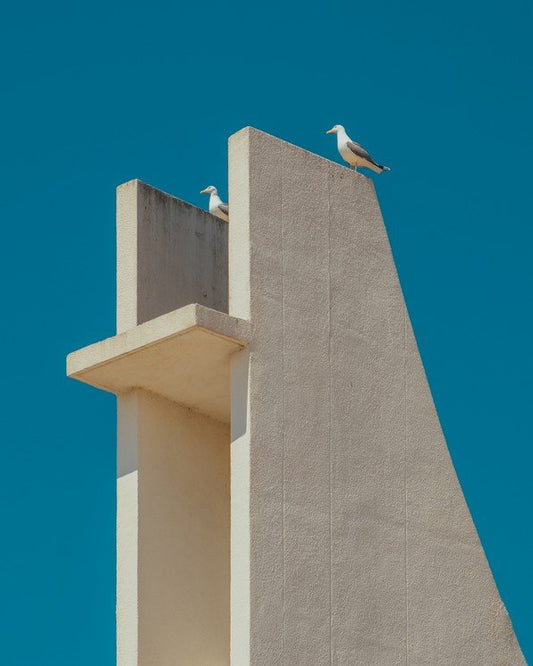 Clemente Vergara, Grande Motte Seagulls 2V, 2021, Photographic Print