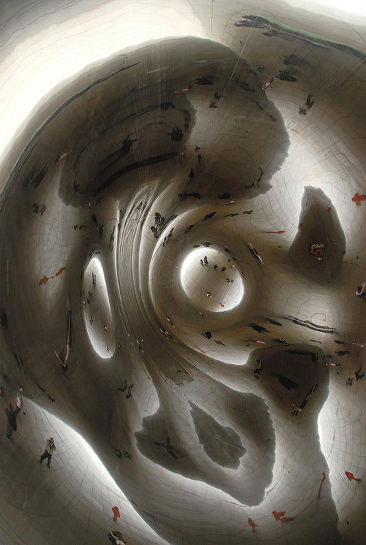 Cloud Gate Sculpture, Millennium Park, 2008