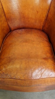 Club Chair in Sheep Leather-HPP-2033011