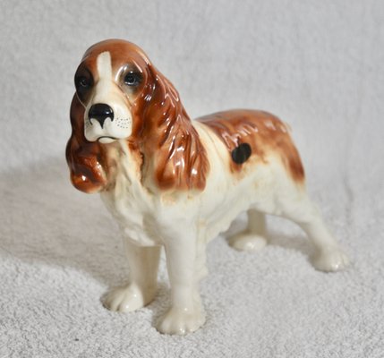 Cocker Dog from the English Brand Coopercraft, 1970s-ROJ-2040366