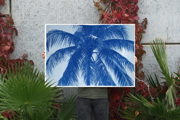 Coconut Palm Tree, 2021, Print-RWC-1114137