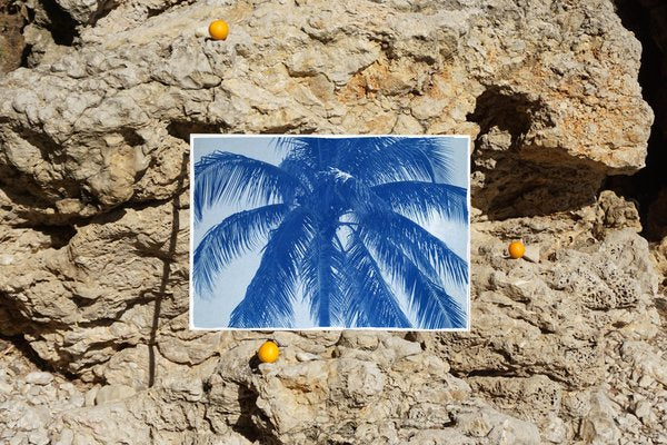 Coconut Palm Tree, 2021, Print-RWC-1114137