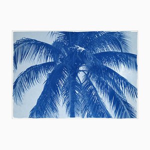 Coconut Palm Tree, 2021, Print-RWC-1114137