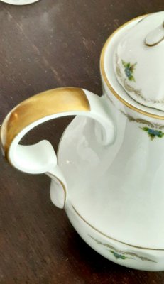 Coffee Set from CH Field Haviland, 1970s, Set of 17-EAI-736167