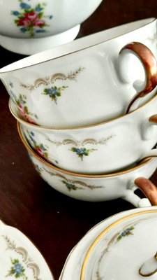 Coffee Set from CH Field Haviland, 1970s, Set of 17-EAI-736167