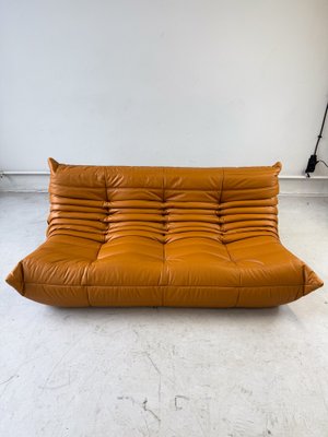 Cognac Light Leather Togo 3-Seater Sofa by Michel Ducaroy for Ligne Roset-IXA-1811220