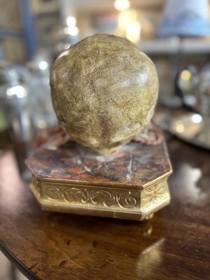 Collectible Memento Mori with Gilded Wooden Base, 1900s-UAI-2024516