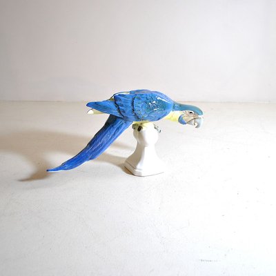 Colored Ceramic Parrot, Czechoslovakia, 1960s-JQO-810888