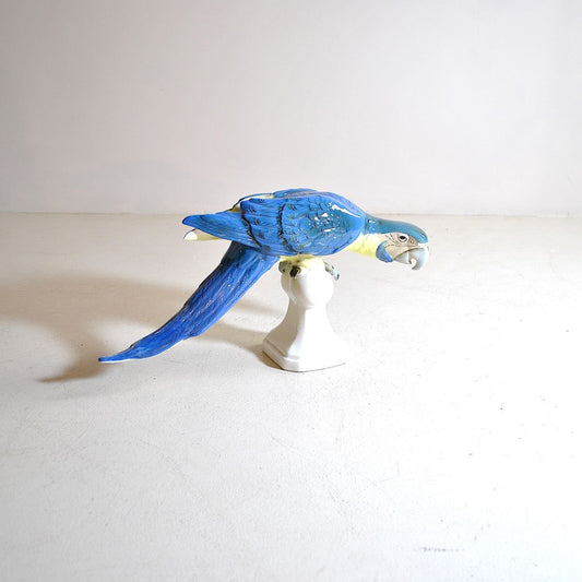 Colored Ceramic Parrot, Czechoslovakia, 1960s