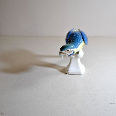 Colored Ceramic Parrot, Czechoslovakia, 1960s-JQO-810888