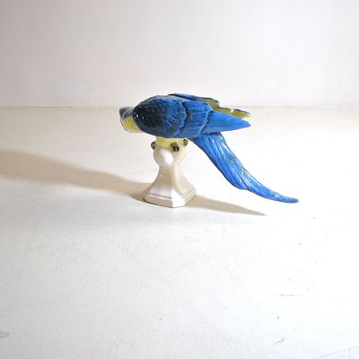 Colored Ceramic Parrot, Czechoslovakia, 1960s-JQO-810888