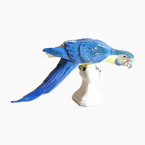 Colored Ceramic Parrot, Czechoslovakia, 1960s-JQO-810888