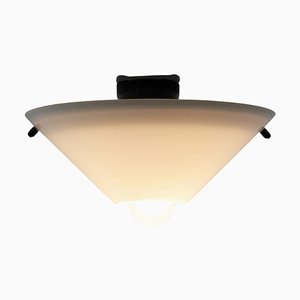 Cono Space Ceiling Mount, 1960-POG-1823178