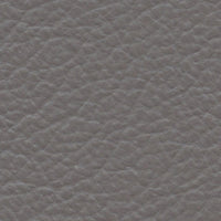 Conquistador (AD6043)