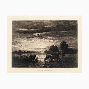 Constant Troyon, Paturage: Clair de Lune, Etching, 19th Century-ZCI-1760484