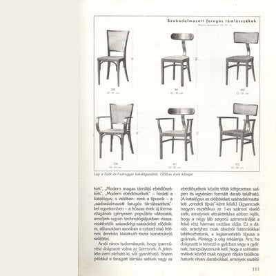 Constructivist Bentwood Back-Sprung Mod. No. 401 Chair by Jozsef Heisler, Hungary, 1930s-HWV-926267