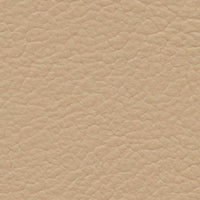 Cooper's Hawk (FE4009)