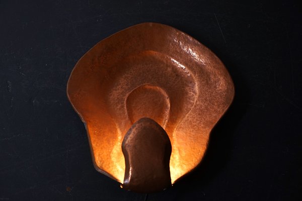 Copper Anthroposophical Wall Light-CIP-1191485