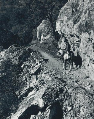 Cowboys on Horses, USA, 1960s, Black & White Photograph-DYV-1245439