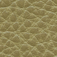 Crested Butte (HT1501)