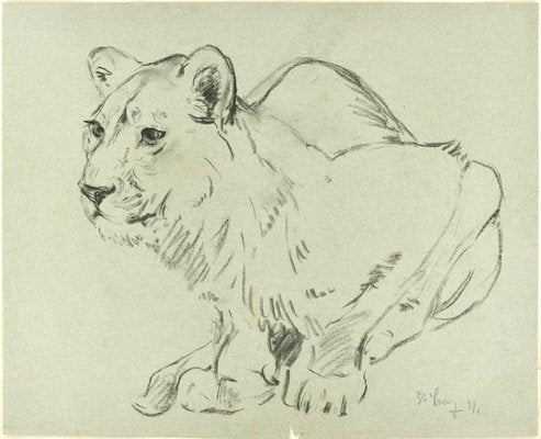 Crouched Lioness and Rabbits - Original Pencil Drawing by Willy Lorenz - 1971 1971-ZCI-758948