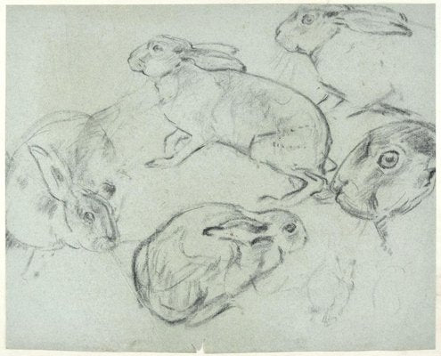 Crouched Lioness and Rabbits - Original Pencil Drawing by Willy Lorenz - 1971 1971-ZCI-758948